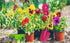 Gardening Tools Set: Trowel, Rake, Shovel, Spoon, Fork for Best Outdoor Gift for Gardening Enthusiasts.