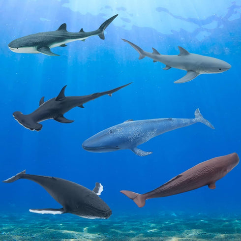 6 Pack 14.5'' Set Mostop Sea Animal Toy for Kids Large Size Ocean Sea Marine Animal Figures, Realistic Ocean Sea