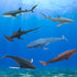 6 Pack 14.5'' Set Mostop Sea Animal Toy for Kids Large Size Ocean Sea Marine Animal Figures, Realistic Ocean Sea