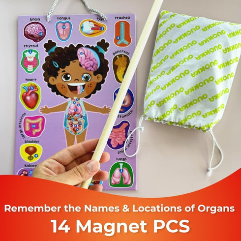 3-5 QUOKKA Magnetic Puzzles for Kids Montessori Puzzles for Toddlers Preschool Game Learning Human Body Parts Anatomy