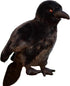 Realistic Crow Plush Toy, Cute Black Raven Stuffed Animal Doll, Soft Raven Bird Plush, Kids Birthday Gift Decor