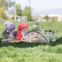 Bellzi Stegosaurus Cute Stuffed Animal Plush Toy, Adorable Soft Dinosaur Toy Plushies for Kids, Babies