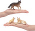 8PCS Toymany Wolf Figures Forest Animals Toy Figurines - Realistic Jungle Zoo Animal FigurinesEducational Toy Cake
