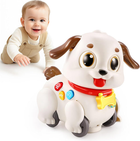 LUDILO Learning Toys for 1 Year Old Boy Girl Gifts: Pull Along