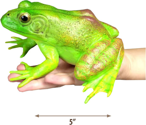 Gemini&Genius Tree Frog Toy Figure for Kids, Realistic Hand Painted Bullfrog Action Figure