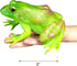 Gemini&Genius Tree Frog Toy Figure for Kids, Realistic Hand Painted Bullfrog Action Figure