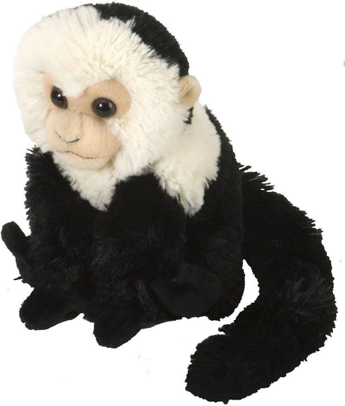 Wild Republic Cuddlekins Capuchin Plush Toy, 8 Inches, Stuffed Animal Gifts for Kids, Multi (12274)