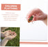6pcs High Simulation Insect Bee Figures, Realistic Bee Educational Plaything, Cake Topper, Lawn Ornament