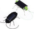 2Pcs Solar Powered Insect Toys, Educational Fake Roaches Grasshopper Moving Toys for Kids Birthday, Christmas,