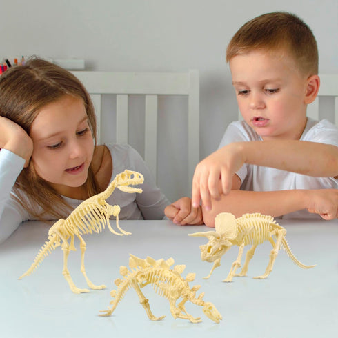 NUOLUX 3Pcs 4D Dinosaur Fossil Skeleton Toys