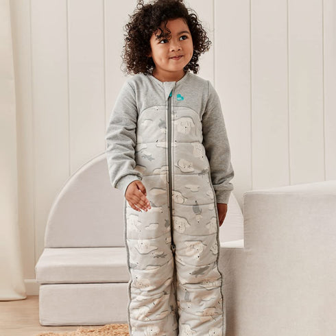 (6-12 3.5TOG Love to Dream Extra Warm Baby Sleep Suit Mo), Super Soft Temp Regulating Sleeping Sack, Warm Wearable
