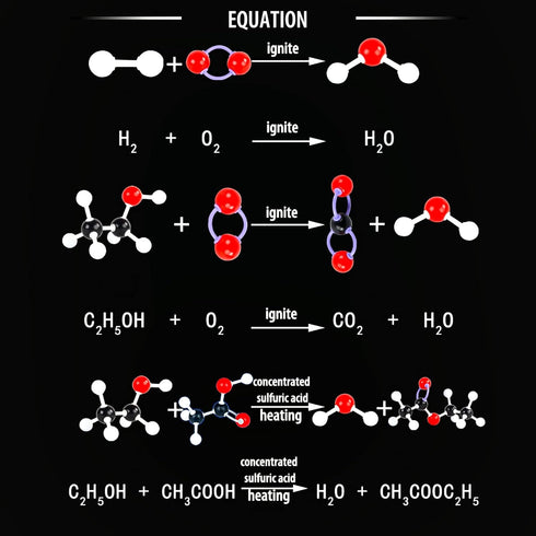 Organic Chemistry Molecular Model Kit 206pc, Educational Science Set for Middle and High School Students, Gift for