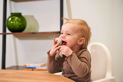 Eichhorn Baby Hipp Teething Ring - Safe and Fun for Your Little One