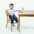 OXO Tot Gray Booster Seat with Safety Straps