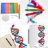 Toddmomy Kids Toys 2 Sets DNA Model Kit for Teaching Students, Double Mannequin