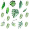 Leaf Wall Decals, H2MTOOL 64 PCS Removable Tropical Plants Stickers for Kids Nursery Room Decor
