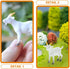 NUOBESTY Mini Goat Figurines 6pcs Simulated White Goat Animals, Tiny Farm Sheep Figures, Educational Toys, Cake Topper