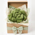 16" 3D Green Philosophy Co. Succulent Pillow Soft Decorative Flower Throw Pillow, Unique Olive Green Plush Flower