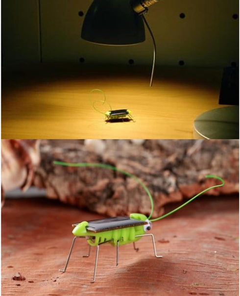 6pcs Lifelike Grasshopper Solar Powered Insect Toys - Moving Solar Toys for Boys Girls Educational Science