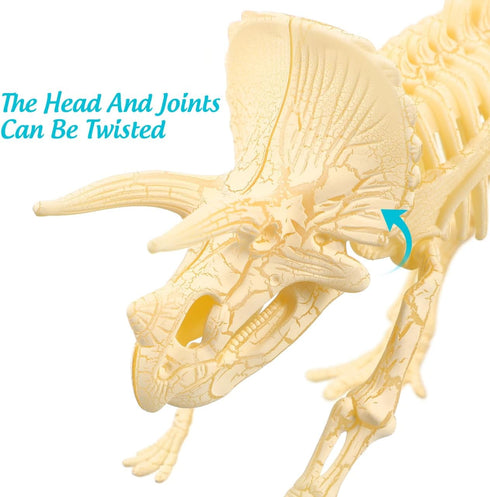 NUOLUX 3Pcs 4D Dinosaur Fossil Skeleton Toys