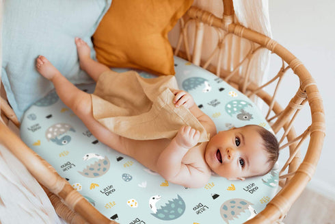 GRSSDER 2 Pack Stretchy Ultra Soft Fitted Bassinet Sheet Set, Happy Dinosaurs Bassinet Sheets for Boys and Girls,
