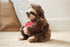 6.5 Inch Bearington Lil Simon Love Sloth Stuffed Animal - Cute Plush Toy for Girls & Kids - Unique Sloth Plush
