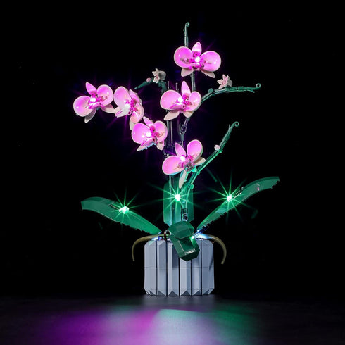 BRIKSMAX Led Lighting Kit for LEGO-10311 Orchid, Compatible with Lego Creator Expert Building Blocks Model, Set Not