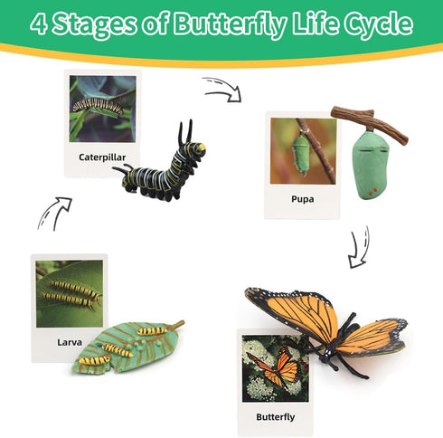 Montessori Life Cycle Learning Kit with Animal Figures and Flash Cards, Realistic Monarch Butterfly Caterpillar Toy