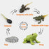 Montessori Frog Life Cycle with Flash Cards, Plastic Insects Tadpole to Frog Kit Toy, Realistic Animal Figurines