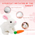 Bunny Stuffed Animal Plush, Interactive Electronic Pet Hopping Bunny Toy, Realistic Stuffed Easter Bunny Rabbit