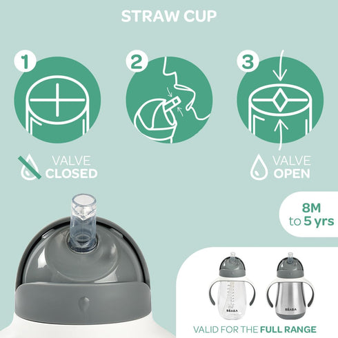 Beaba Straw Sippy Cup - Toddler Baby Straw Cup with Removable Handles, Leak Proof, 10 oz (Rose)