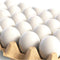 CALPALMY 24 Pieces Hyper-Realistic White Wooden Eggs - 2 Dozen Fake Easter