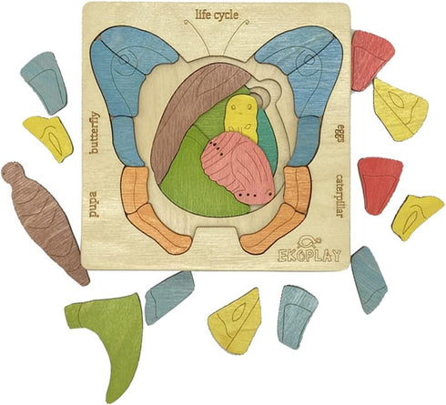 LIFE CYCLE of A BUTTERFLY | 31 Piece Wooden Jigsaw Puzzles for Kids | Educational Gift for Boys & Girls 3+
