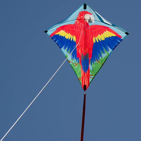 In the Breeze 30-inch Graphic Diamond Kites for Outdoor Fun