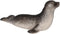 Andux Realistic Animals Figures Toys, Marine Life Wild Jungle Educational Playset FZDW-04 (Seal)