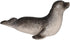 Andux Realistic Animals Figures Toys, Marine Life Wild Jungle Educational Playset FZDW-04 (Seal)