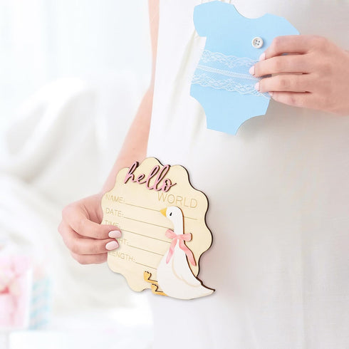 FYSUIMU Silly Goose Birth Announcement Sign Pink Bow Goose Newborn Milestone Wooden Board Hello World Newborn Sign