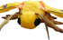 FRANKIEZHOU Realistic Luna Moth Plush Animal, Yellow 25 Inch Long-tailed Silk Moth Stuffed Toy for Kids
