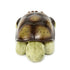 Cloud b Calming Nightlight Star Projector, Gentle Brightness, 3 Colors, 8 Constellations, Auto-Shutoff, Twilight Turtle
