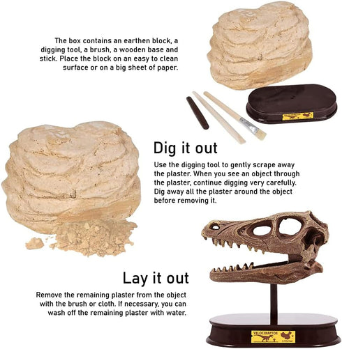ArtCreativity Dinosaur Excavation Kit for Kids, Velociraptor Skull Excavating Set, Educational Dinosaur Gift