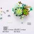 MEIEST Set,Creative Mini Building Blocks Succulent Plant Bonsai Model DIY Simulation Particle Flower Botanical