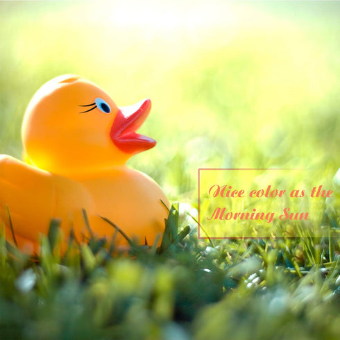 Novelty Place 12Pcs Rubber Duck Float Ducky Baby Bath Shower Toy, Yellow Mini Bath Duckies