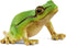 Schleich Wild Life - European Tree Frog Toy Figurine. Realistic Hand-Painted Animal