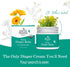Earth Mama 2-Ounce (3-Pack) Organic Diaper Balm | Diaper Cream for Baby | EWG Verified, Petroleum & Artificial
