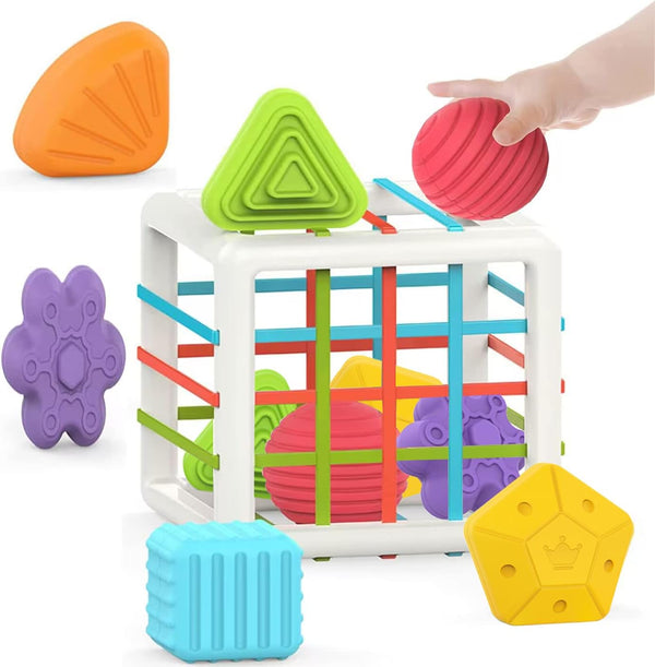 MINGKIDS Montessori Toys for 1 Year Old, 6 Pc Multi Sensory Shape,