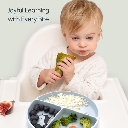 Studio Merveille 6-12 1-3, Silicone Suction Plates with Dividers - Grip Plates for Babies Months and Toddlers Toddler