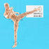 gnallang Action Figures PVC Model (Yellow Color) with Box Drawing Figure Models for Artists(Male)