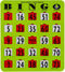 MR CHIPS Jam-Proof Easy-Read Large Print Fingertip Bingo Cards with Sliding Windows