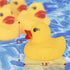 Novelty Place 12Pcs Rubber Duck Float Ducky Baby Bath Shower Toy, Yellow Mini Bath Duckies