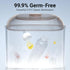 2 Bear Bottle Sterilizer and Dryer, Layers Large Electric Steam Baby Bottle Sterilizer, Fast Bottle Sanitizer and Dryer